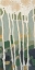 Picture of MOSAIC TREELINE II