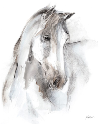 Picture of WATERCOLOR EQUINE STUDY I