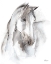 Picture of WATERCOLOR EQUINE STUDY I