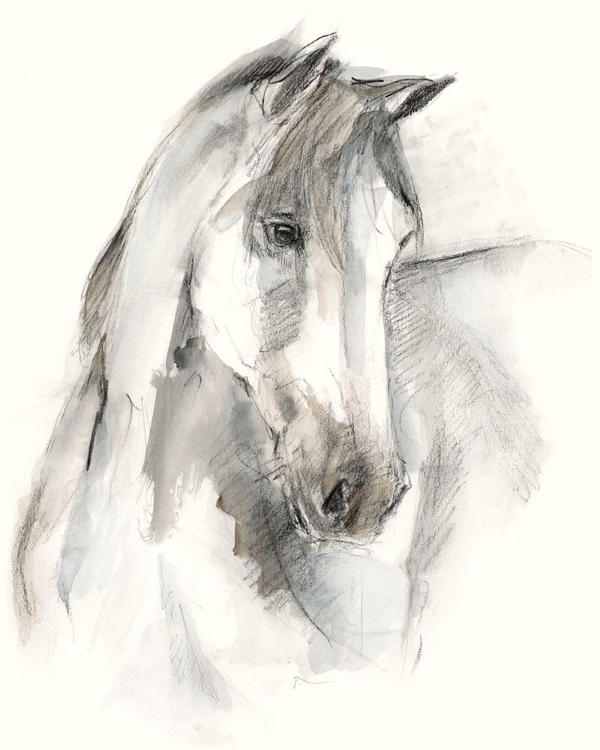 Picture of WATERCOLOR EQUINE STUDY I