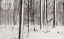 Picture of A SNOWY WALK I