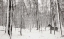 Picture of A SNOWY WALK II