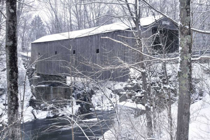 Picture of BULLS BRIDGE