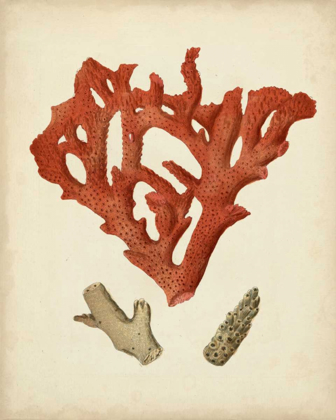 Picture of ANTIQUE RED CORAL II
