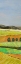 Picture of PASTEL HILLS II