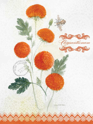 Picture of FLOWER STUDY ON LACE IV