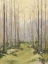 Picture of DELICATE FOREST I