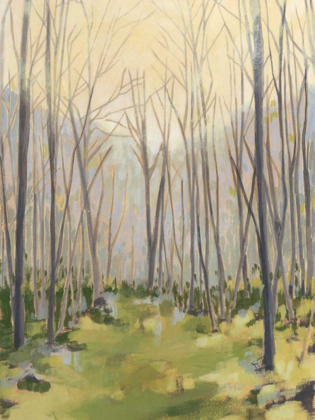 Picture of DELICATE FOREST II