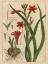 Picture of BOTANICAL STUDY ON LINEN II