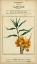 Picture of LINNAEAN BOTANY III