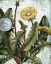 Picture of DANDELION PATINA I