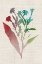 Picture of WATERCOLOR PLANTS II