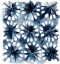 Picture of INDIGO STUDY II