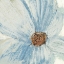 Picture of SPIRIT FLOW I
