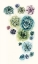 Picture of SUCCULENT CLUSTER I