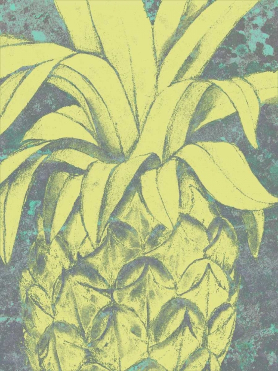 Picture of KONA PINEAPPLE I