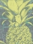 Picture of KONA PINEAPPLE II