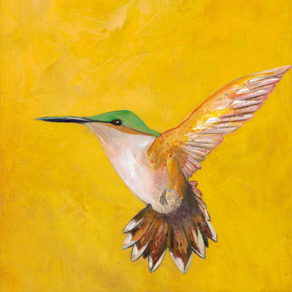 Picture of SWEET HUMMINGBIRD II