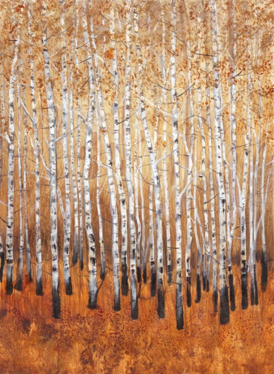 Picture of SIENNA BIRCHES I