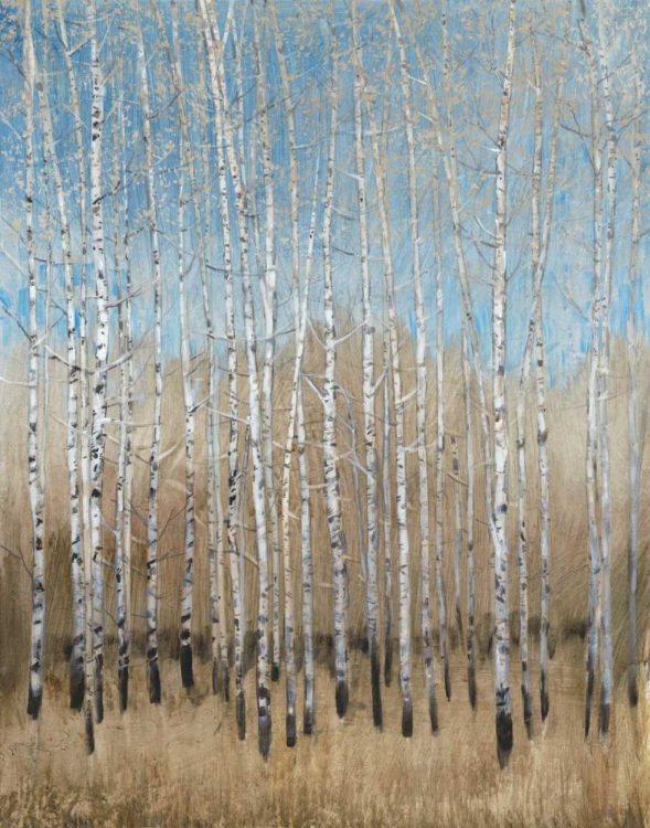 Picture of DUSTY BLUE BIRCHES I