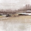 Picture of FOREST GLIMPSE I