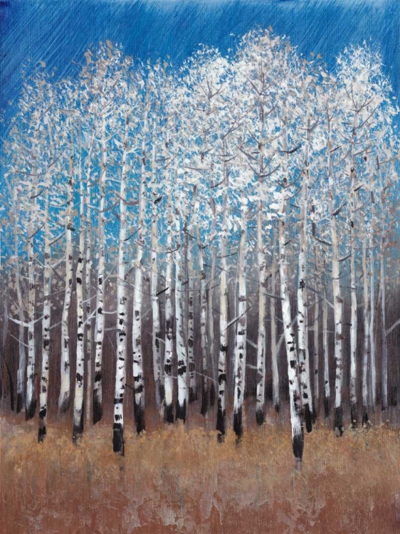 Picture of COBALT BIRCHES II