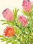 Picture of WATERCOLOR TROPICAL FLOWERS I