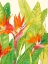 Picture of WATERCOLOR TROPICAL FLOWERS IV