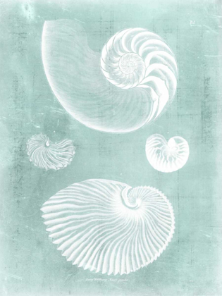 Picture of NAUTILUS ON SPA II