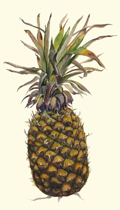 Picture of PINEAPPLE STUDY I (ASH)