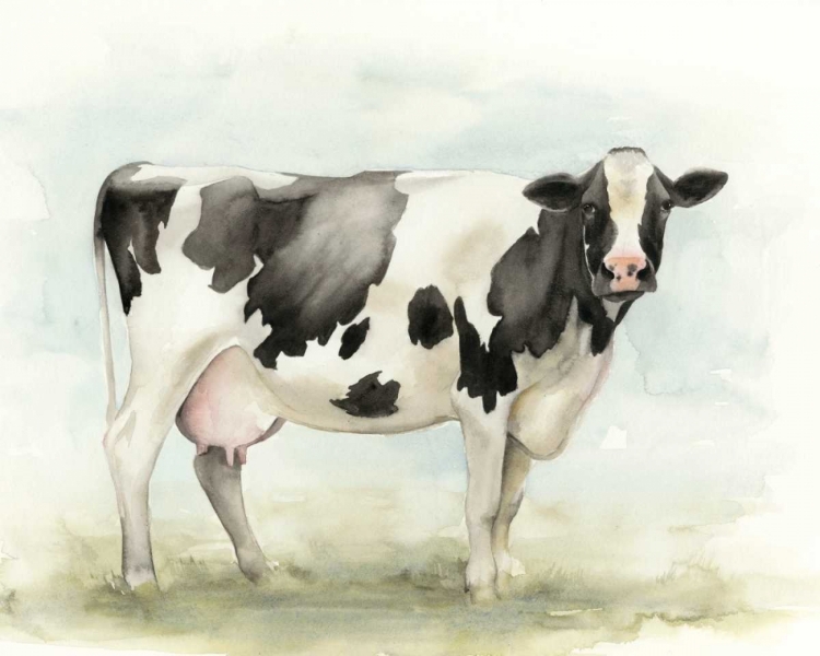 Picture of WATERCOLOR COW I