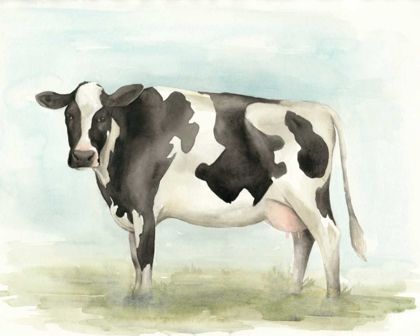 Picture of WATERCOLOR COW II