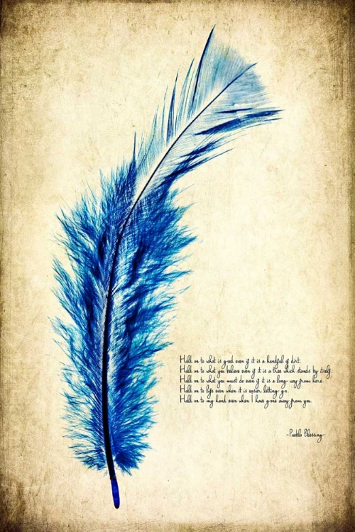 Picture of FEATHER IN COLOR I