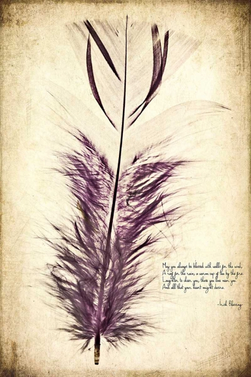 Picture of FEATHER IN COLOR II