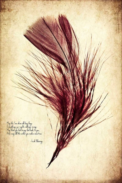 Picture of FEATHER IN COLOR III