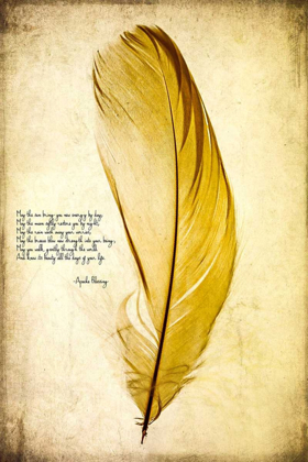 Picture of FEATHER IN COLOR IV