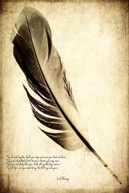 Picture of FEATHER ON THE WIND IV