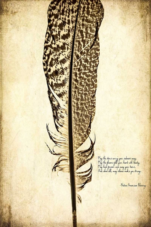 Picture of FEATHER ON THE WIND VI