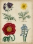 Picture of BOTANICAL GRID I