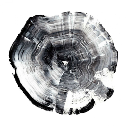 Picture of TREE RING ABSTRACT I