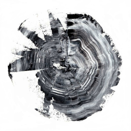 Picture of TREE RING ABSTRACT II