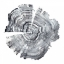 Picture of TREE RING ABSTRACT IV
