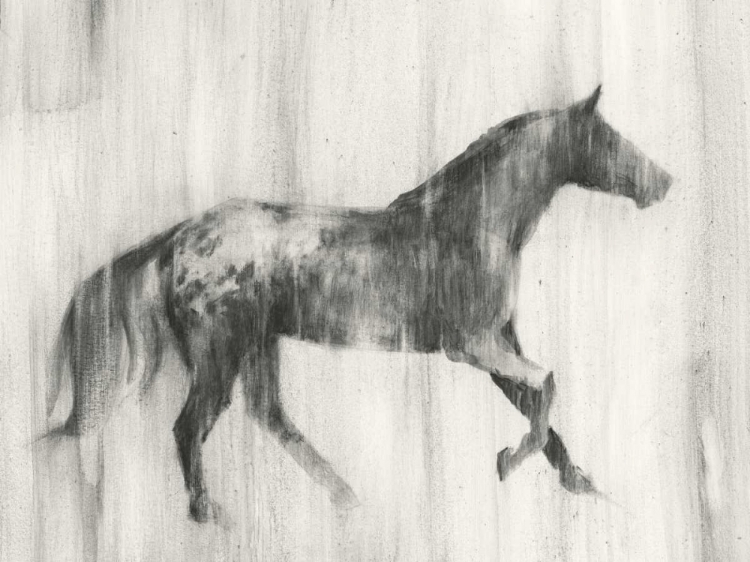 Picture of APPALOOSA STUDY I