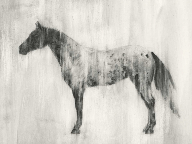 Picture of APPALOOSA STUDY II