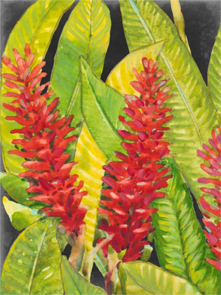 Picture of RED TROPICAL FLOWERS I