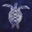 Picture of SEA TURTLE SHADOW I