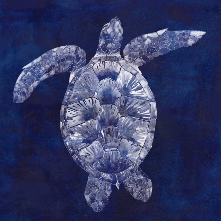 Picture of SEA TURTLE SHADOW II