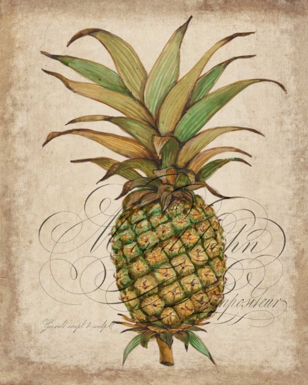 Picture of PINEAPPLE STUDY I