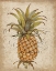 Picture of PINEAPPLE STUDY II
