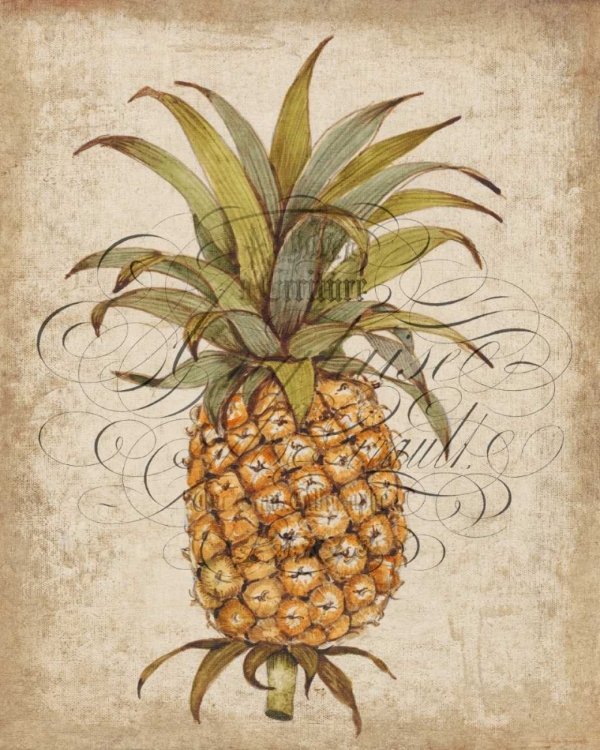 Picture of PINEAPPLE STUDY II